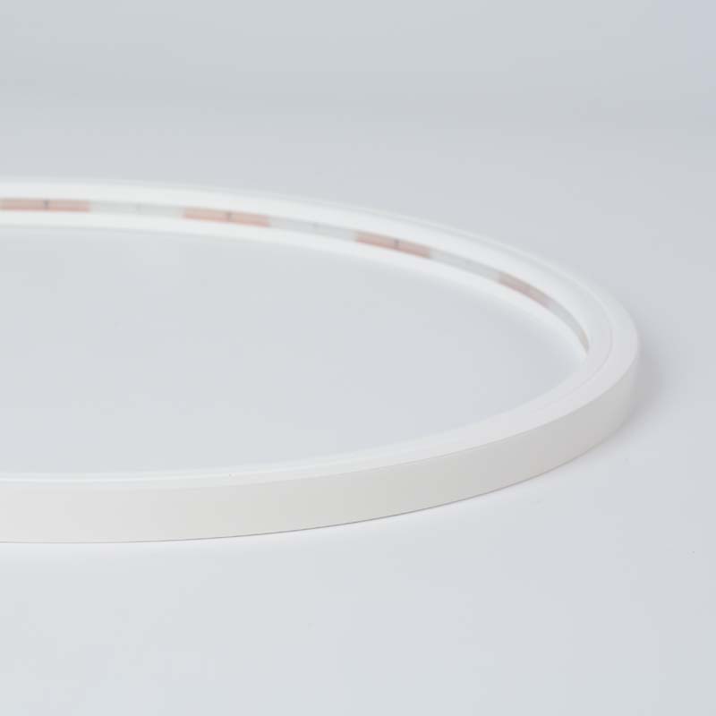 1212 SILICONE LED NEON STRIP